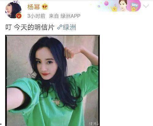 沈腾圈内爆料杨幂,揭秘娱乐圈背后的故事  第1张